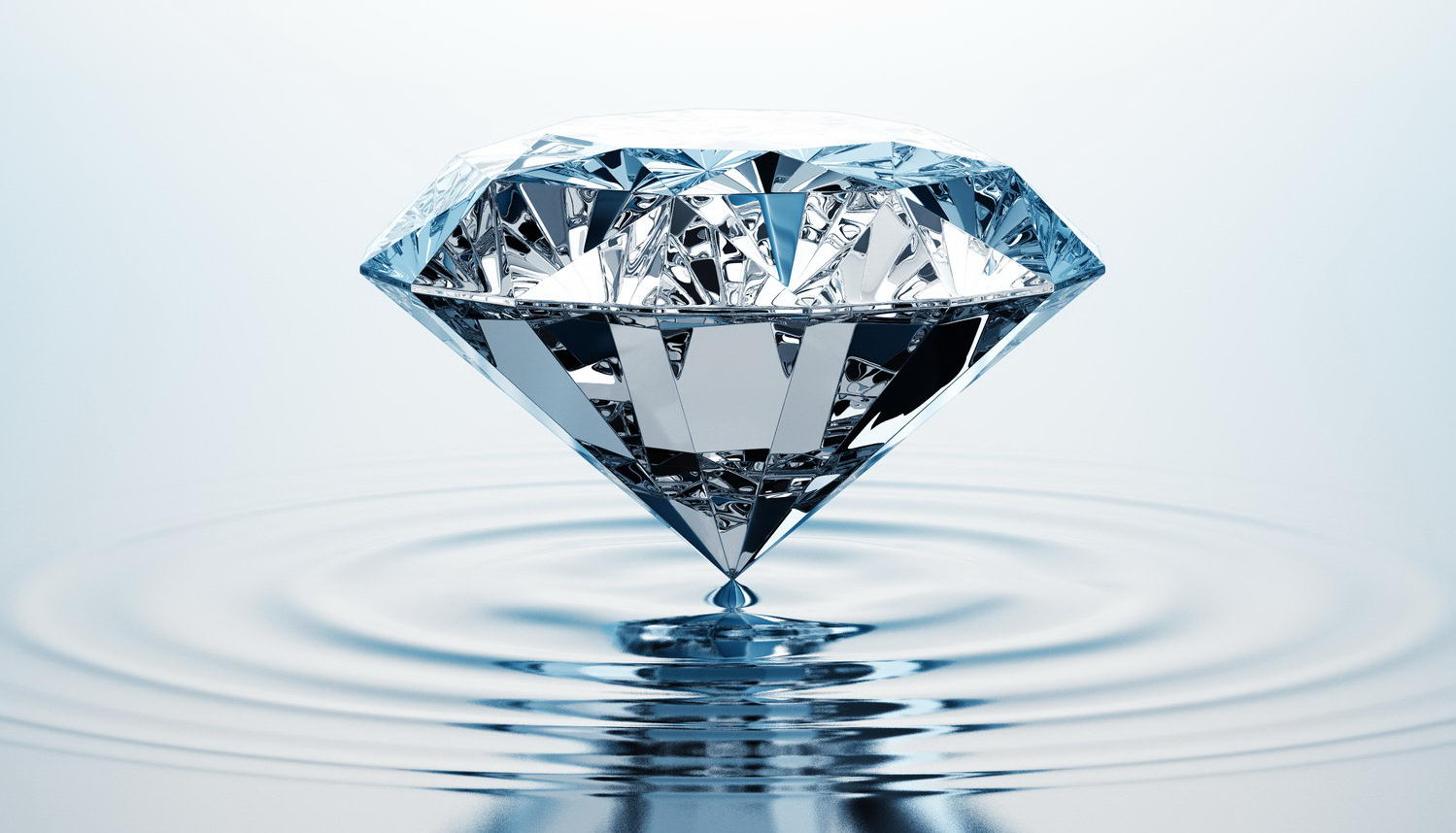 cff2a7025ea63db962e7e8855cabba5a