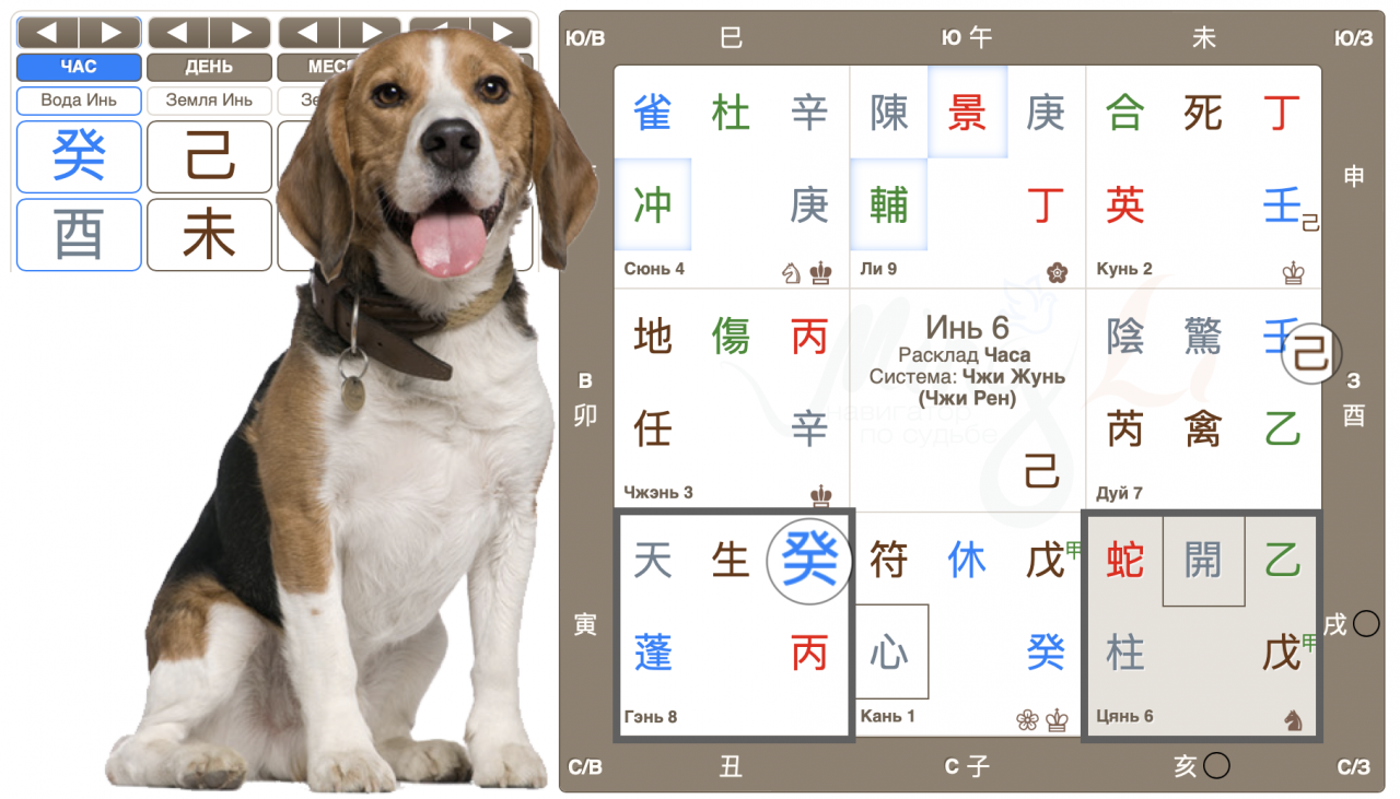 Расклад Ци Мэнь для поиски потерявшейся собаки