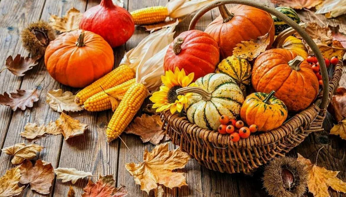 Здоровье в сентябре 2016