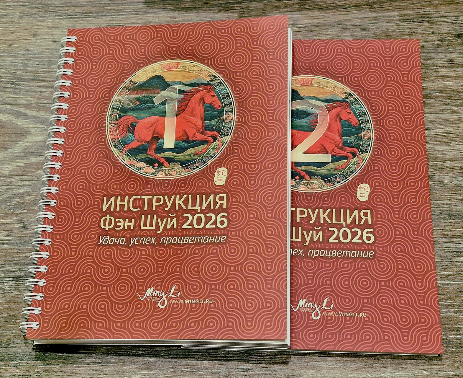 Обложка Инструкции Фэн Шуй 2026